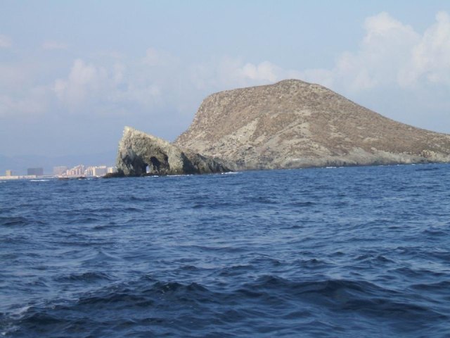 Yacimiento subacutico Bajo de la Campana - 96