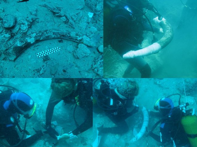 Yacimiento subacutico Bajo de la Campana - 129