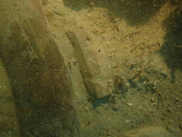 Yacimiento subacutico Bajo de la Campana - 134