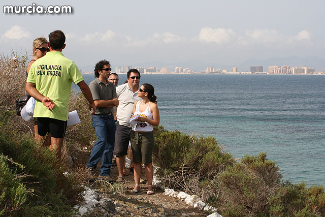 Isla Grosa - Gaviota de Audouin (Larus audouinii) - 104