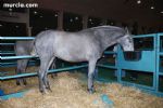 Equimur 2008 - 9