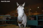 Equimur 2008 - 14