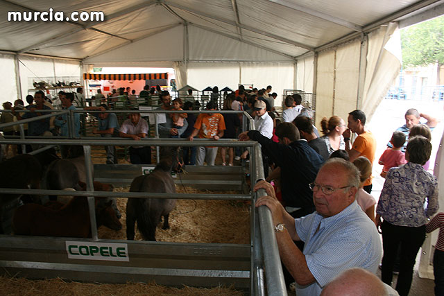 I Feria del Campo. Agricultura y Ganadera - Totana 2009 - 329