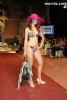 Fashion Night - 264