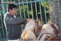 Romería de Lébor - 79