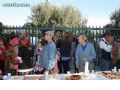 Romería de Lébor - 108