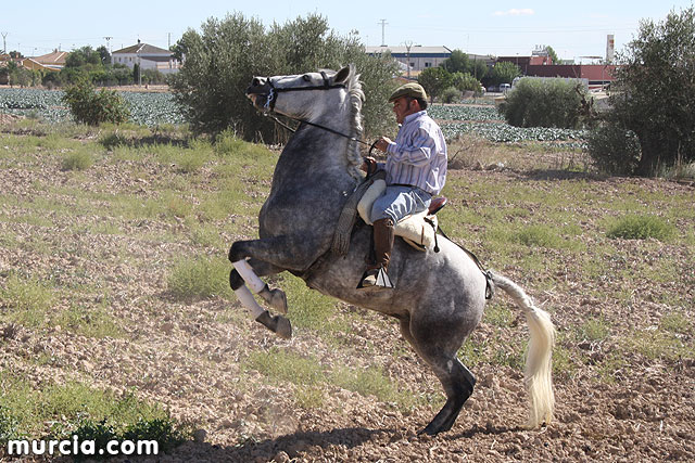 I Romera de Lbor - 2010 - 403