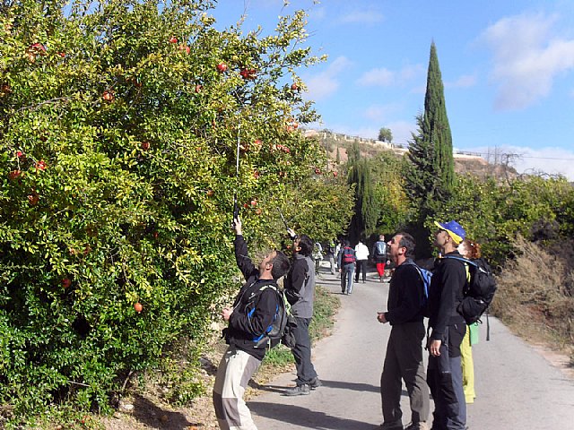 Ruta de la Rambla de los Molinos - 36