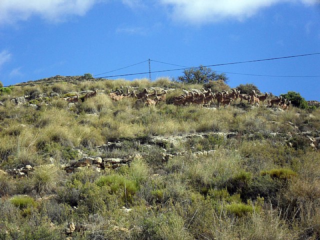 Ruta de la Rambla de los Molinos - 69