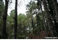 Sierra del Agua - 5
