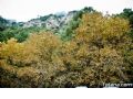 Sierra del Agua - 13
