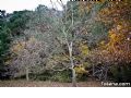 Sierra del Agua - 19