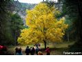 Sierra del Agua - 29