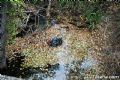 Sierra del Agua - 156