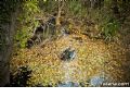 Sierra del Agua - 158