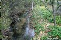 Sierra del Agua - 159