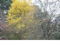 Sierra del Agua - 337