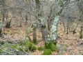 Sierra del Agua - 338