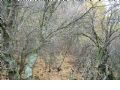 Sierra del Agua - 339