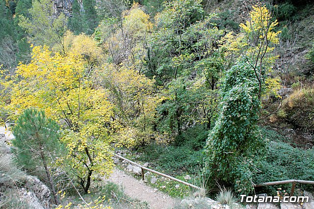 Senderismo en la Sierra del Agua (Albacete)  - 92