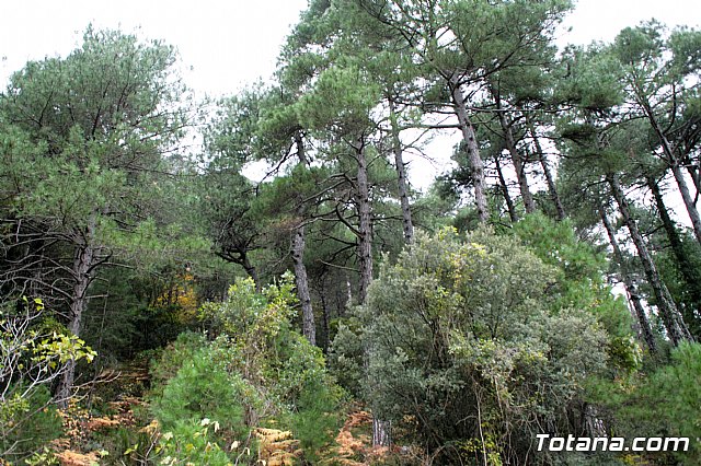 Senderismo en la Sierra del Agua (Albacete)  - 125