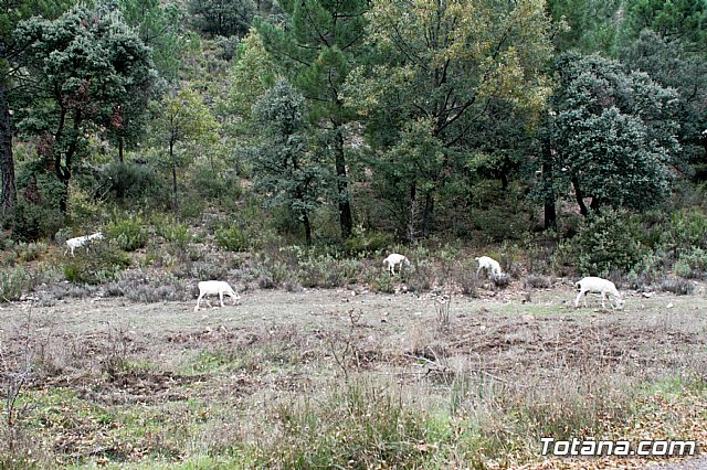 Senderismo en la Sierra del Agua (Albacete)  - 128