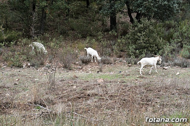 Senderismo en la Sierra del Agua (Albacete)  - 130