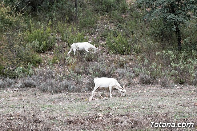 Senderismo en la Sierra del Agua (Albacete)  - 131