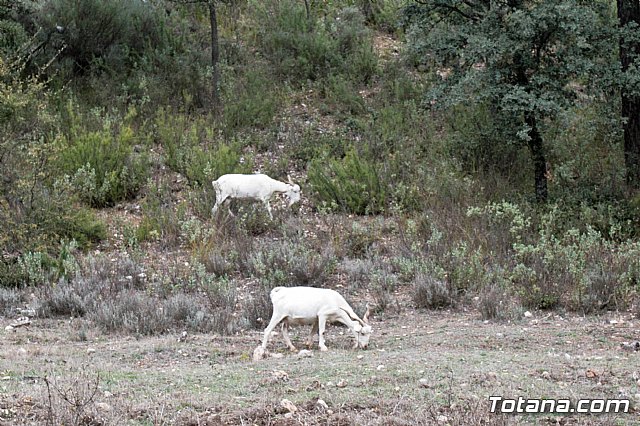 Senderismo en la Sierra del Agua (Albacete)  - 132