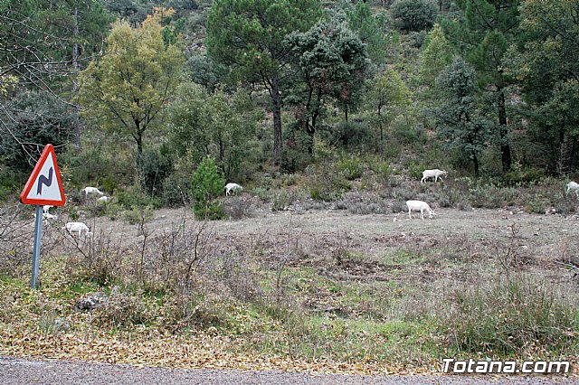 Senderismo en la Sierra del Agua (Albacete)  - 133