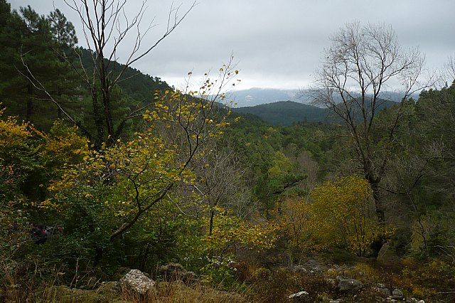 Senderismo en la Sierra del Agua (Albacete)  - 272