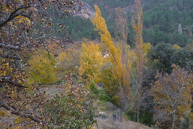 Senderismo en la Sierra del Agua (Albacete)  - 298