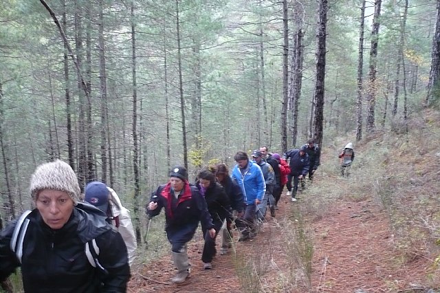 Senderismo en la Sierra del Agua (Albacete)  - 372