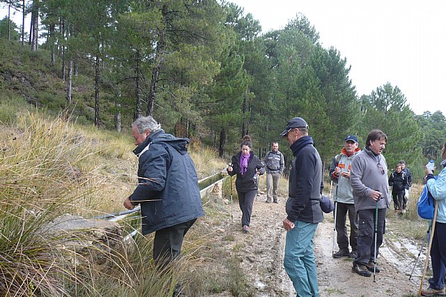 Senderismo en la Sierra del Agua (Albacete)  - 386