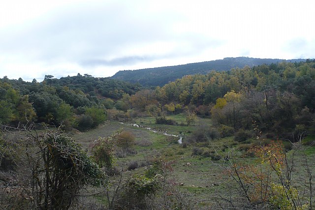 Senderismo en la Sierra del Agua (Albacete)  - 392