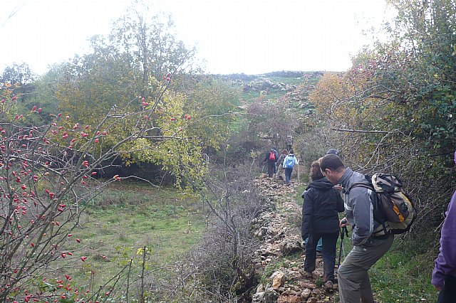 Senderismo en la Sierra del Agua (Albacete)  - 393