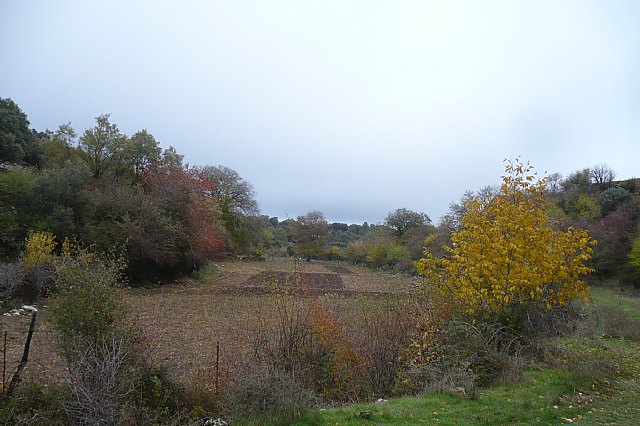 Senderismo en la Sierra del Agua (Albacete)  - 396