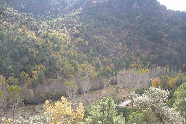 Senderismo en la Sierra del Agua (Albacete)  - 434