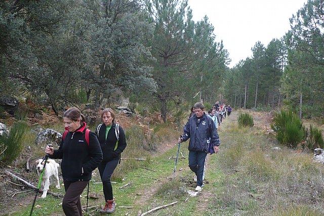 Senderismo en la Sierra del Agua (Albacete)  - 448