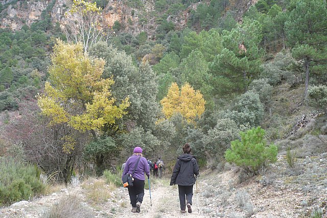Senderismo en la Sierra del Agua (Albacete)  - 456