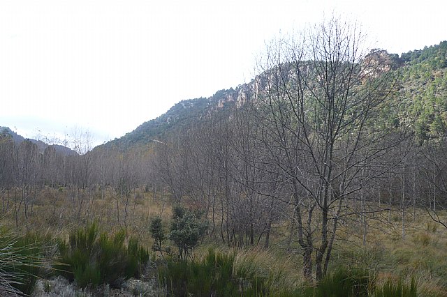 Senderismo en la Sierra del Agua (Albacete)  - 457