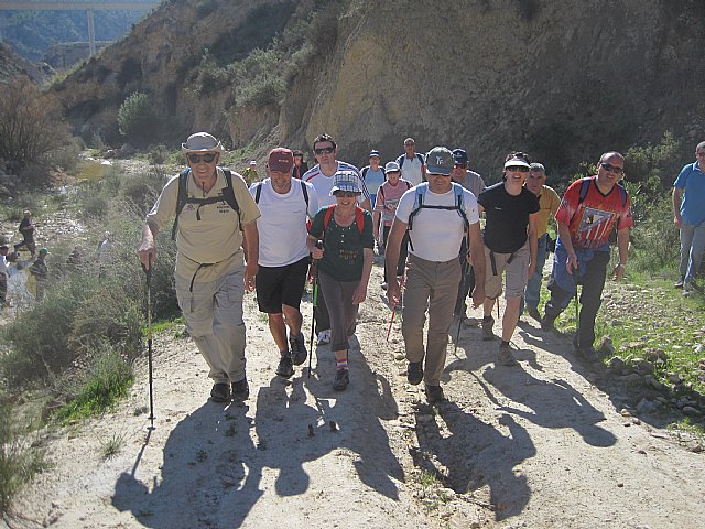 Ruta de senderismo y visita guiada por los arquelogos al Yacimiento Argrico de la Bastida - 78