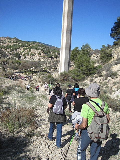 Ruta de senderismo y visita guiada por los arquelogos al Yacimiento Argrico de la Bastida - 81