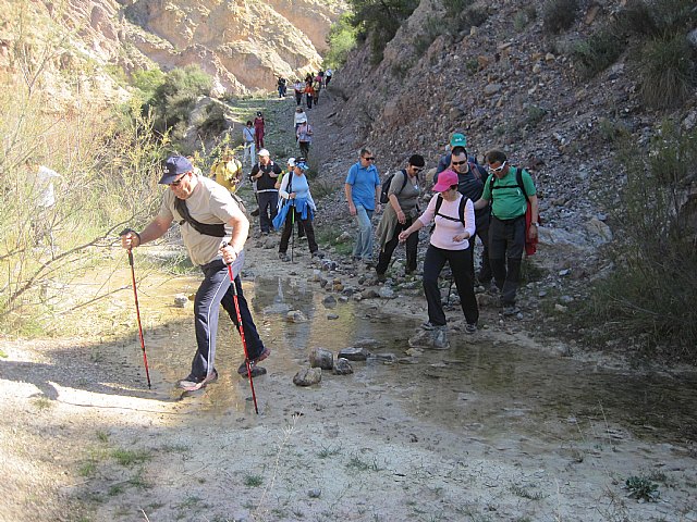 Ruta de senderismo y visita guiada por los arquelogos al Yacimiento Argrico de la Bastida - 89