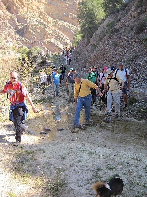 Ruta de senderismo y visita guiada por los arquelogos al Yacimiento Argrico de la Bastida - 91