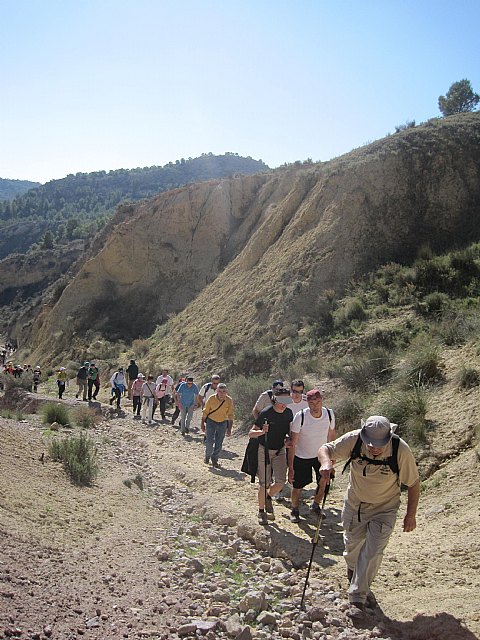 Ruta de senderismo y visita guiada por los arquelogos al Yacimiento Argrico de la Bastida - 93