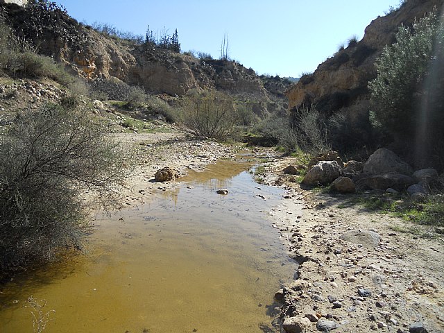 Ruta de senderismo y visita guiada por los arquelogos al Yacimiento Argrico de la Bastida - 102