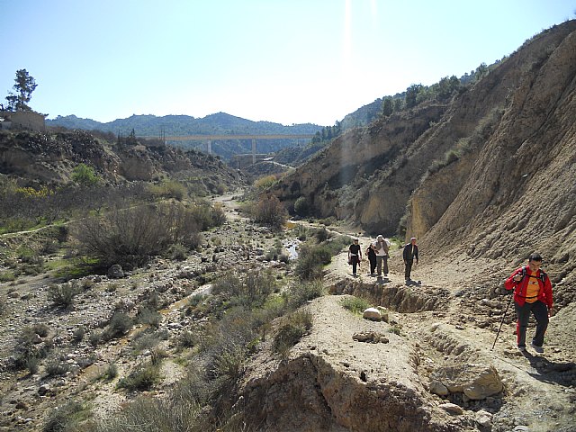 Ruta de senderismo y visita guiada por los arquelogos al Yacimiento Argrico de la Bastida - 104