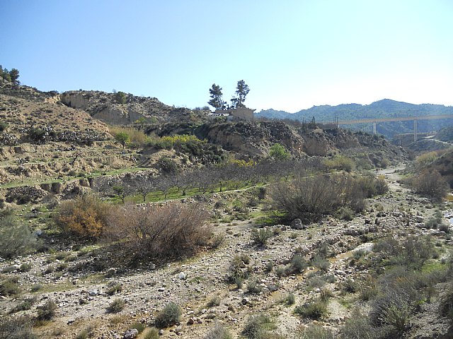 Ruta de senderismo y visita guiada por los arquelogos al Yacimiento Argrico de la Bastida - 105