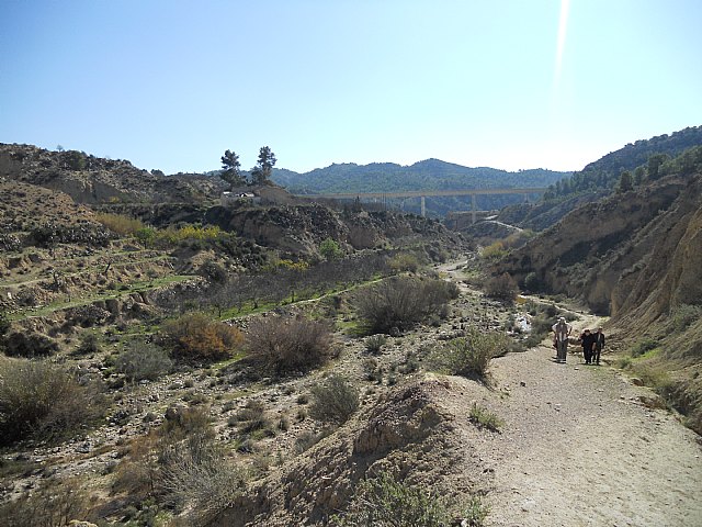 Ruta de senderismo y visita guiada por los arquelogos al Yacimiento Argrico de la Bastida - 106